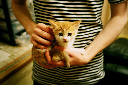 Chinese Taipei团队的未来:持续进步与赛事布局的战略,chinese of taipei