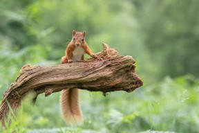 爱游互娱游戏官网-中超联赛国足晋级 球员发挥备受认可，中超国脚