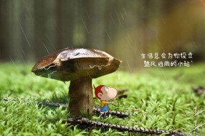 爱游戏网页版-中小学教师提升路径，如何提升中小学教师素养水平