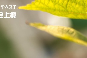 爱游戏赛事中心-中国篮球纪录刷新多项历史数据值得铭记，中国篮球的成绩