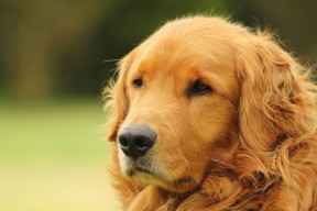 爱体育娱乐入口-“2025世界运动会：高新体育中心沙滩排球赛事成观众亮点”