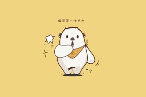 爱游戏app-Chinese Taipei团队的未来：持续进步与赛事布局的战略，chinese of taipei