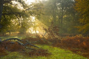 爱游戏电竞竞猜-法甲球队基于运动负荷监测调整恢复训练方案，运动负荷检测与分析