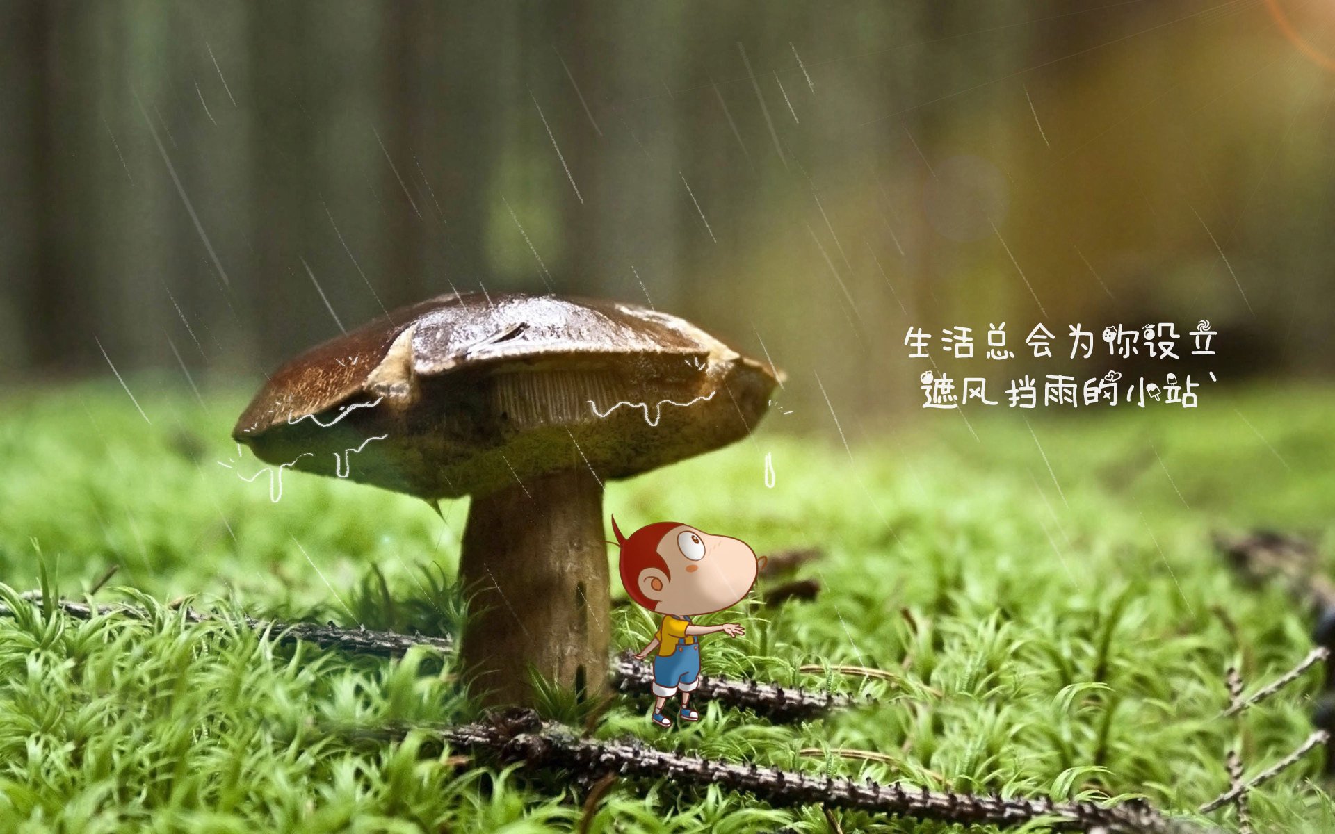中小学教师提升路径，如何提升中小学教师素养水平