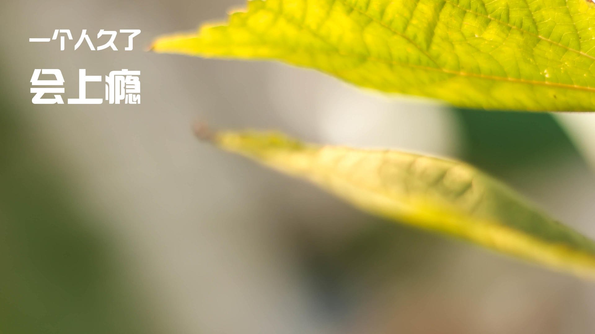 中国篮球纪录刷新多项历史数据值得铭记，中国篮球的成绩