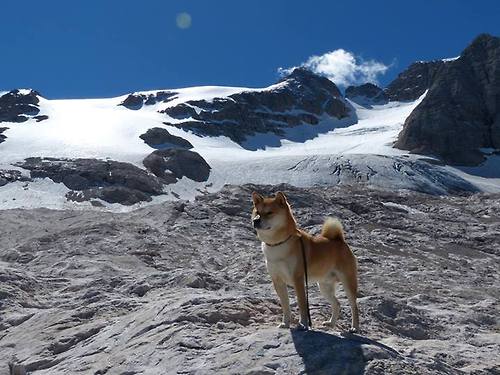 中国香港队的未来：如何借助团体赛制提升整体竞争力，香港队队员
