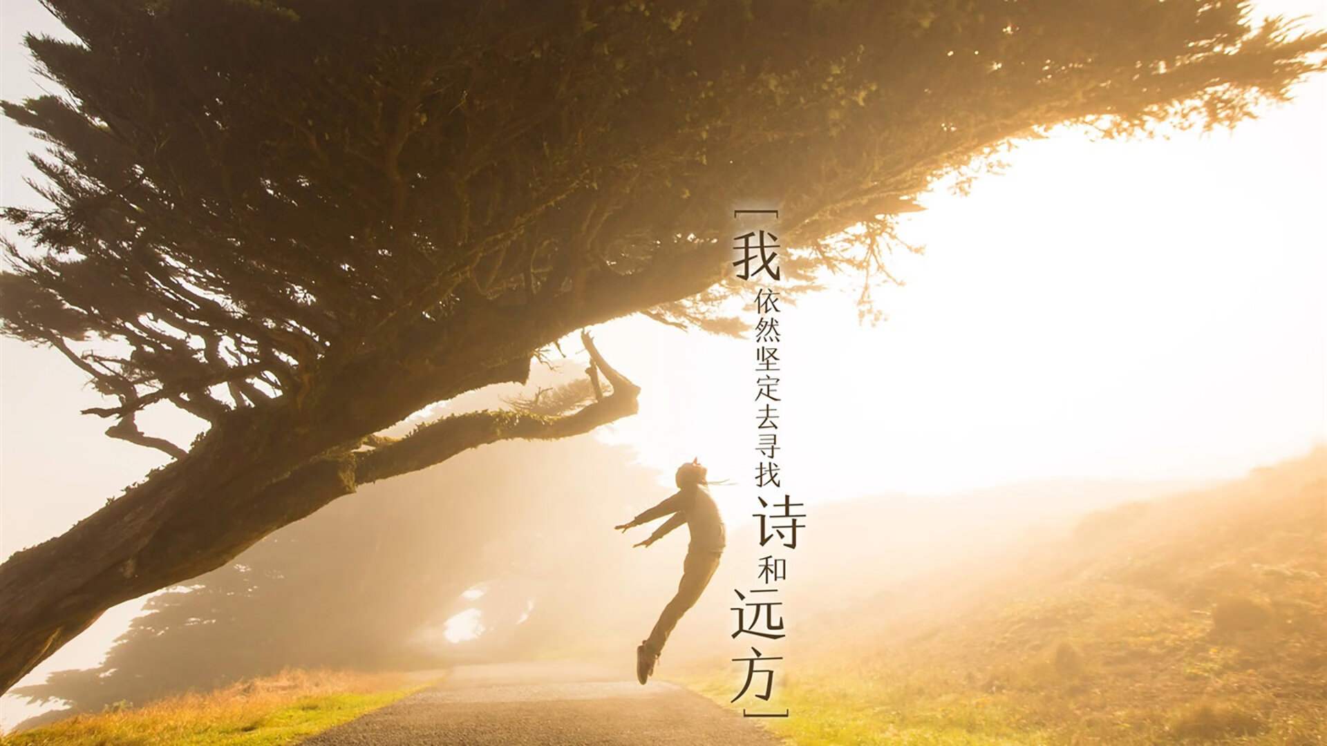 阵容结构是否影响节奏执行效率，阵容结构是否影响节奏执行效率的原因